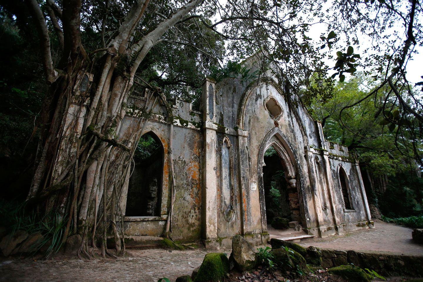 Geradezu verwunschen wirkt die Kapelle beim Palácio de Monserrate, wo sich die Natur im Laufe der Jahrhunderte verlorenes Terrain zurückerobert hat