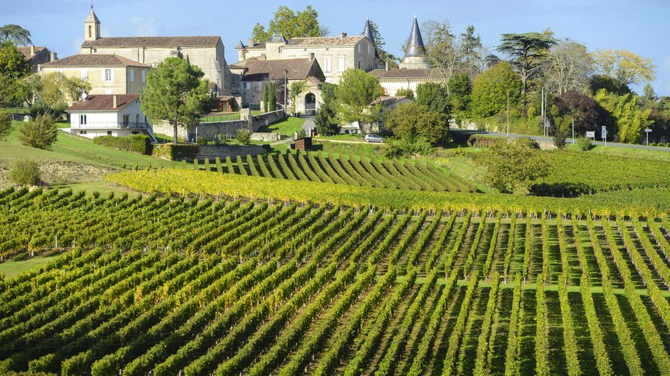 Das Bordeaux hat grandiose, vielschichtige und aufregende Weine zu bieten. Auf über 100.000 Hektar wird hier Wein gemacht - und das schon seit der Antike.