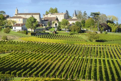 Das Bordeaux hat grandiose, vielschichtige und aufregende Weine zu bieten. Auf über 100.000 Hektar wird hier Wein gemacht - und das schon seit der Antike.