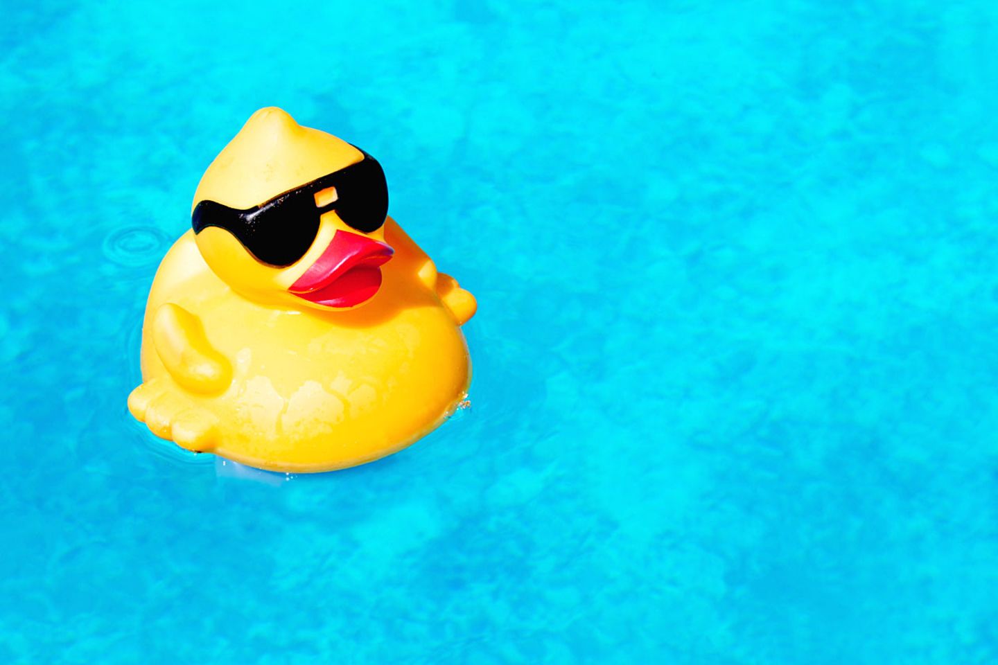 Beim Schwimmen die Gedanken ordnen: Unserem Autoren gelingt das - erst recht, wenn unerwarteter Besuch auftaucht.