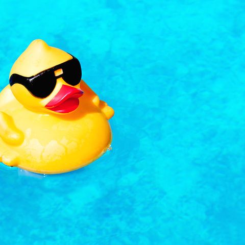 Beim Schwimmen die Gedanken ordnen: Unserem Autoren gelingt das - erst recht, wenn unerwarteter Besuch auftaucht.