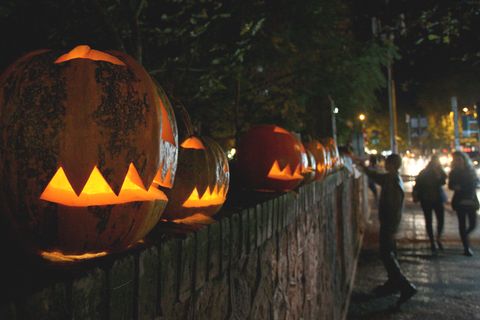 Halloween: geschnitzte Kürbisse