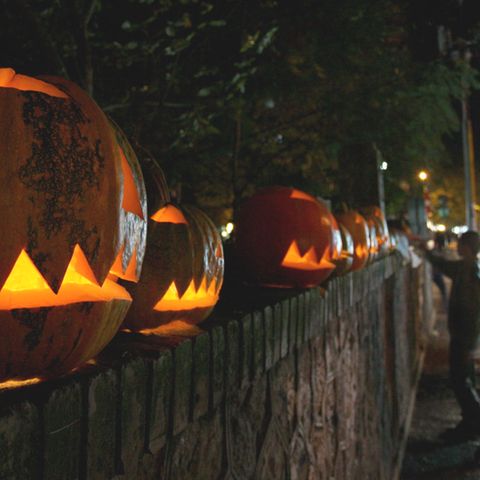 Halloween: geschnitzte Kürbisse