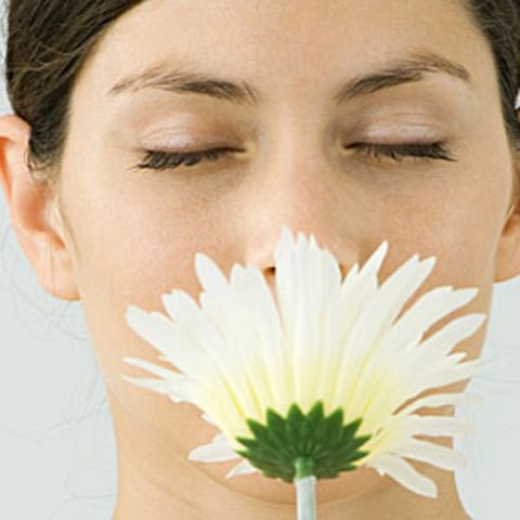 Auch den Duft von Blumen nehmen Menschen, die an Anosmie erkrankt sind, nicht mehr wahr