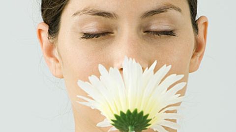 Auch den Duft von Blumen nehmen Menschen, die an Anosmie erkrankt sind, nicht mehr wahr