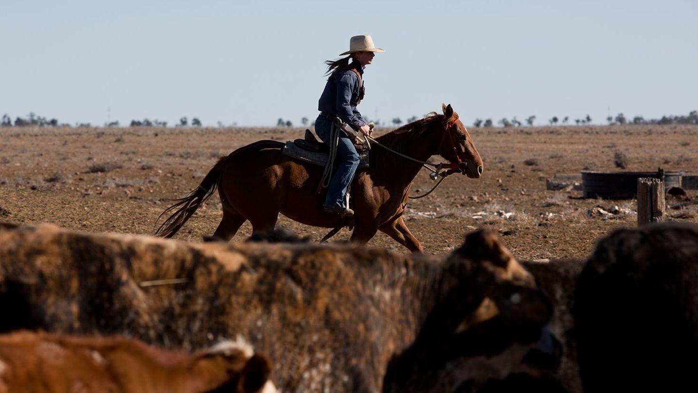 Catherine mit Hemd, Hut, Jeans, Funkgerät und Pferd. Sie wacht mit ihrer Schwester auch über 2200 Rinder auf den Weiden von Victoria Downs. "Mit vier Jahren konnte ich reiten, mit sechs Motorrad fahren, mit neun ein Auto", sagt sie.