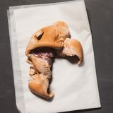 Ochsenmaul  Das Ochsenmaul ist Rindfleisch, das aus den Mäulern und Gaumen von Rindern gewonnen wird. Klingt gruselig, wird aber oft zur Zubereitung von Gelatine verwendet - oder auch für Ochsenmaulsalat, Sülze, Ragouts oder Würste.