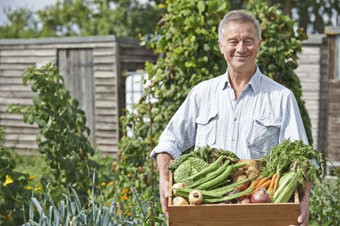 Am Samstag, den 14. Februar, sollen Verbraucher beim Bauern einkaufen, und nicht im Supermarkt oder Discounter. Das wünscht sich zumindest Bauer Willi.