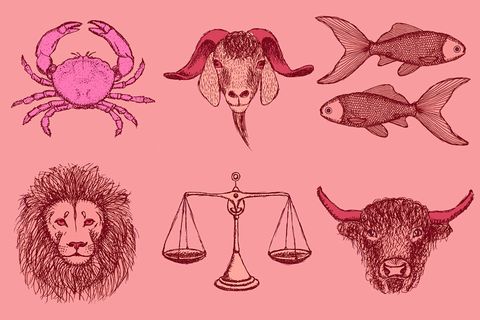 Was bringt das Jahr für die jeweiligen Tierkreiszeichen? Die "Brigitte"-Astrologin Roswitha Broszath hat in die Sterne geschaut.