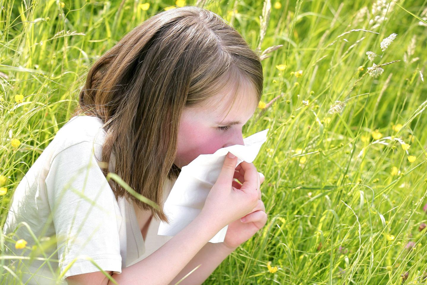 Ein Ausflug ins Grüne ist für Allergiker nicht gerade das reine Vergnügen