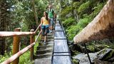 Wallis, Schweiz: Am Wasser entlang Sie sind ein ausgeklügeltes Bewässerungssystem im Wallis: die Suonen, offene Gräben, die von Gebirgsbächen das Wasser auf Wiesen und Felder verteilen. Parallel dazu verlaufen Wanderwege, die den großen Vorteil haben, dass sie kaum Gefälle haben. In dem Ort Grächen ist entlang der Wasserleitungen und am Grächner See für die Saison 2015 ein neuer Wasserspielplatz mit "Genussinseln" entstanden.  Infos: www.suone.ch, www.graechen.ch