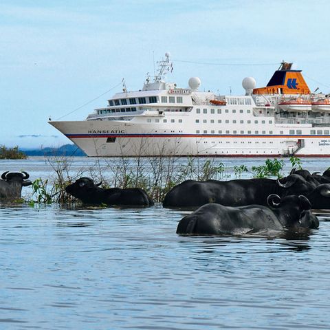 Kleine Kreuzfahrtschiffe: Hier bekommen Sie Klasse statt Masse