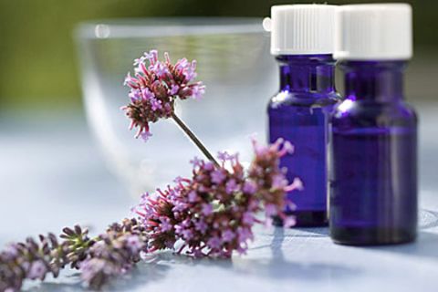 Ein angeblich geplantes Verbot von Heilpflanzen erregt die Gemüter