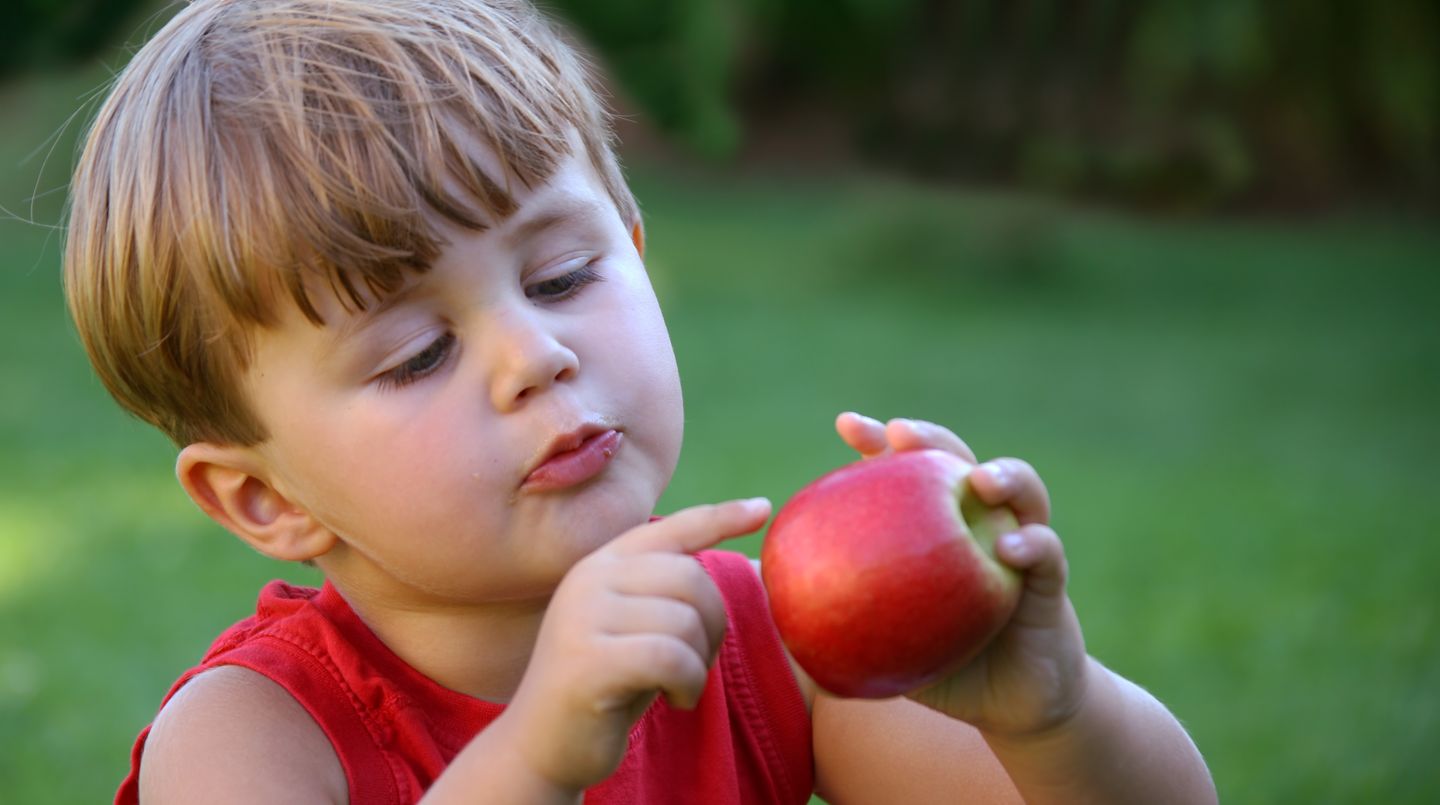 Geben Sie Ihrem Kind möglichst viele Obst- und Gemüsesorten - so entdecken Sie bestimmt etwas, was selbst einem kleinen Frischkost-Muffel schmeckt. Verstecken Sie das Grünzeug zerkleinert in Suppen, Soßen, Joghurts oder schneiden Sie es klein - als Knabbergenuss für zwischendurch