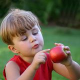 Geben Sie Ihrem Kind möglichst viele Obst- und Gemüsesorten - so entdecken Sie bestimmt etwas, was selbst einem kleinen Frischkost-Muffel schmeckt. Verstecken Sie das Grünzeug zerkleinert in Suppen, Soßen, Joghurts oder schneiden Sie es klein - als Knabbergenuss für zwischendurch
