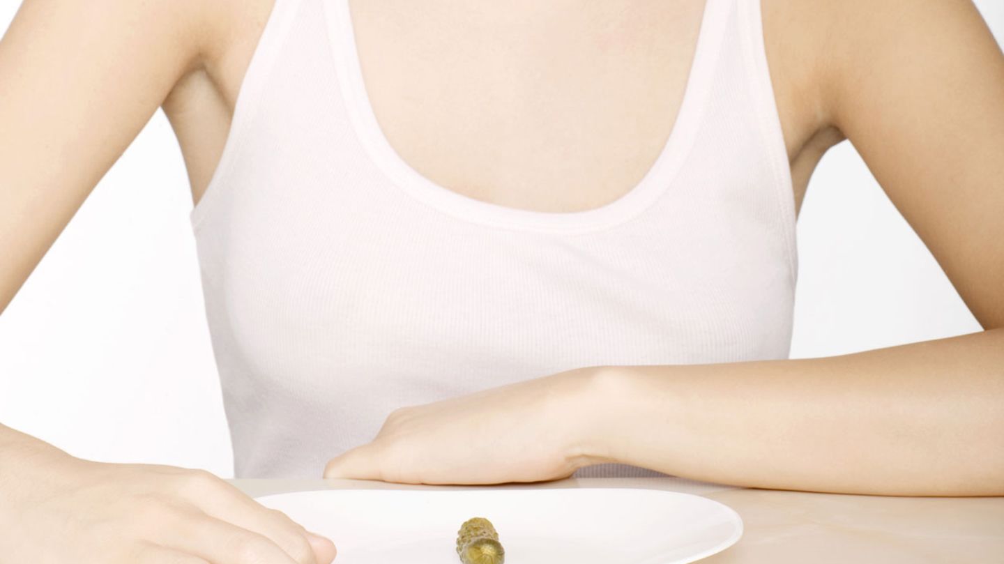 pro ana abnehmen schnell