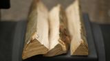 Das Holz ist nicht nur Hitzequelle, es ist zugleich Gewürz. Nadelhölzer sind wegen ihres Harzgehaltes daher tabu, von irgendwelchen Holzabfällen aus dem Haushalt ganz zu schweigen. Erste Wahl sind Aromahölzer, wobei nicht jedes Holz zu jedem Grillgut passt. Alleskönner sind Buche, Erle und Eiche. Ihr Aroma harmoniert nicht nur mit Rind und Schwein, sondern auch mit Fisch sowie Geflügel. Kirsche und Apfel geben eine leicht fruchtige Note. Und knochentrocken muss es sein. Optimal ist zwei Jahre altes Holz. Zehn Kilo Smokerholz kosten rund 25 Euro.