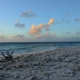 Abends bleibt nur ein Handvoll Gäste auf der Insel, die sich in einer knappen Stunde zu Fuß am steinigen Korallenstrand umrunden lässt, begleitet von dem Geräuschen der Brandung und der Kakophonie der Seevögel, deren Gekreische auch nachts unter dem grandiosen Sternenhimmel kaum abschwillt.