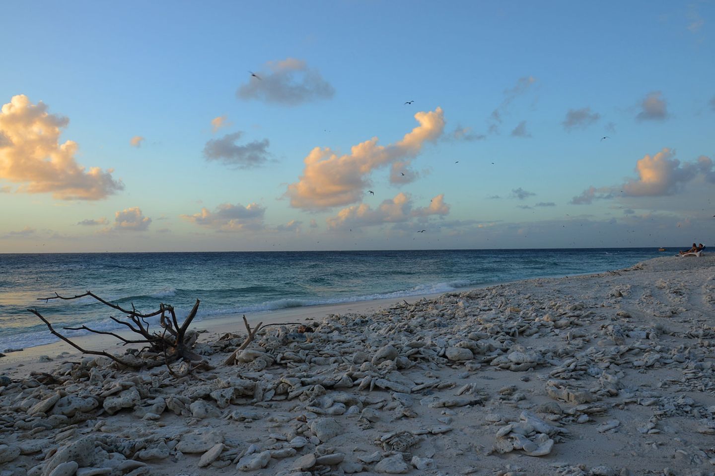 Abends bleibt nur ein Handvoll Gäste auf der Insel, die sich in einer knappen Stunde zu Fuß am steinigen Korallenstrand umrunden lässt, begleitet von dem Geräuschen der Brandung und der Kakophonie der Seevögel, deren Gekreische auch nachts unter dem grandiosen Sternenhimmel kaum abschwillt.