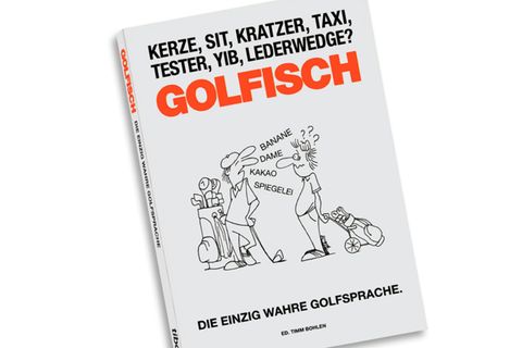 Nichts verstanden? Macht nichts. Dieses Buch leistet Abhilfe