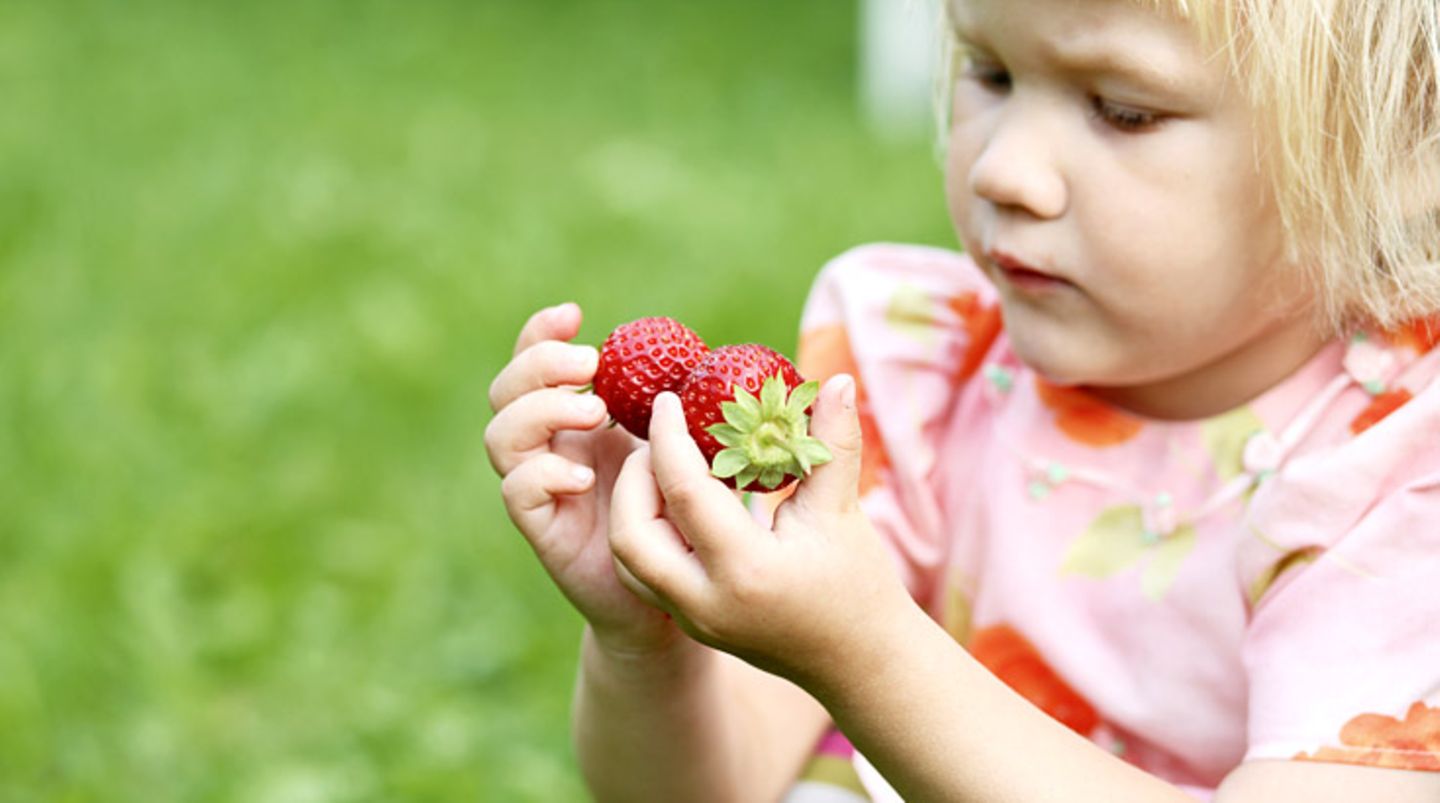Gesundes Essen für Kinder: Ernähren Sie Ihr Kind ausgewogen mit reichlich pflanzlichen Lebensmitteln. Geben Sie ihm viel Obst, Gemüse und Getreideprodukte sowie in Maßen mageres Fleisch, Fisch, Eier und Milchprodukte. Verwenden Sie Fette sparsam, Butter oder Margarine als Streichfett und pflanzliche Öle zum Kochen und Braten und für Salate. Ernähren Sie Ihr Kind ausgewogen mit reichlich pflanzlichen Lebensmitteln. Geben Sie ihm viel Obst, Gemüse und Getreideprodukte sowie in Maßen mageres Fleisch, Fisch, Eier und Milchprodukte. Verwenden Sie Fette sparsam, Butter oder Margarine als Streichfett und pflanzliche Öle zum Kochen und Braten und für Salate