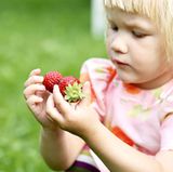 Ernähren Sie Ihr Kind ausgewogen mit reichlich pflanzlichen Lebensmitteln. Geben Sie ihm viel Obst, Gemüse und Getreideprodukte sowie in Maßen mageres Fleisch, Fisch, Eier und Milchprodukte. Verwenden Sie Fette sparsam, Butter oder Margarine als Streichfett und pflanzliche Öle zum Kochen und Braten und für Salate