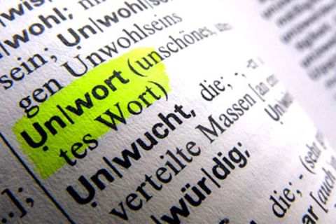 Ein Unwort ist unschön, so steht es im Wörterbuch. Im vergangenen Jahr sorgte besonders die Wortschöpfung "Opfer-Abo" für Unmut.