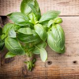 Basilikum  Dieses köstliche Kraut mag es am liebsten feucht und leicht kühl. Also versuchen Sie, es auch so zu lagern. Trockenheit und Kühlschrankkälte bekommt dem Basilikum nicht. Eine andere Möglichkeit wäre es, das Gewürz wie Blumen zu halten. Dafür müssen Sie die Pflanzenstiele an den unteren Enden abschneiden und in eine Vase stellen. Legen Sie ein Stück Frischhaltefolie locker darüber - so hält sich der Basilikum länger.