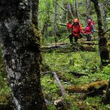 An Land stellte sich den Bergsteigern das erste Hindernisse entgegen: Weil an dieser Stelle Feuerlands zehn Mal mehr Niederschlag fällt als in Deutschland, herrscht dort ein ganz andere Vegetation. Zunächst mussten die Drei einen Weg durch den üppig wuchernden Regenwald finden