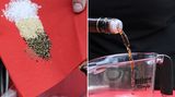Nun geht es an die Sauce  4 EL flüssiger Honig 1 EL Dijonsenf 2 EL frischer Ingwer, gerieben 2 Knoblauchzehen, zerdrückt 1 1/2 EL Sojasauce 1 1/2 EL Apfelessig 2 EL Sesam Mit Salz und Pfeffer abschmecken