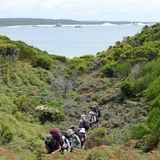 Bushwalking nennen Australier eine Abkürzung durch die grüne Küstenflora auf einem Trampelpfad, den in der Abenddämmerung auch Kängurus und die kleineren Wallabys auf dem Weg zum Strand benutzen.