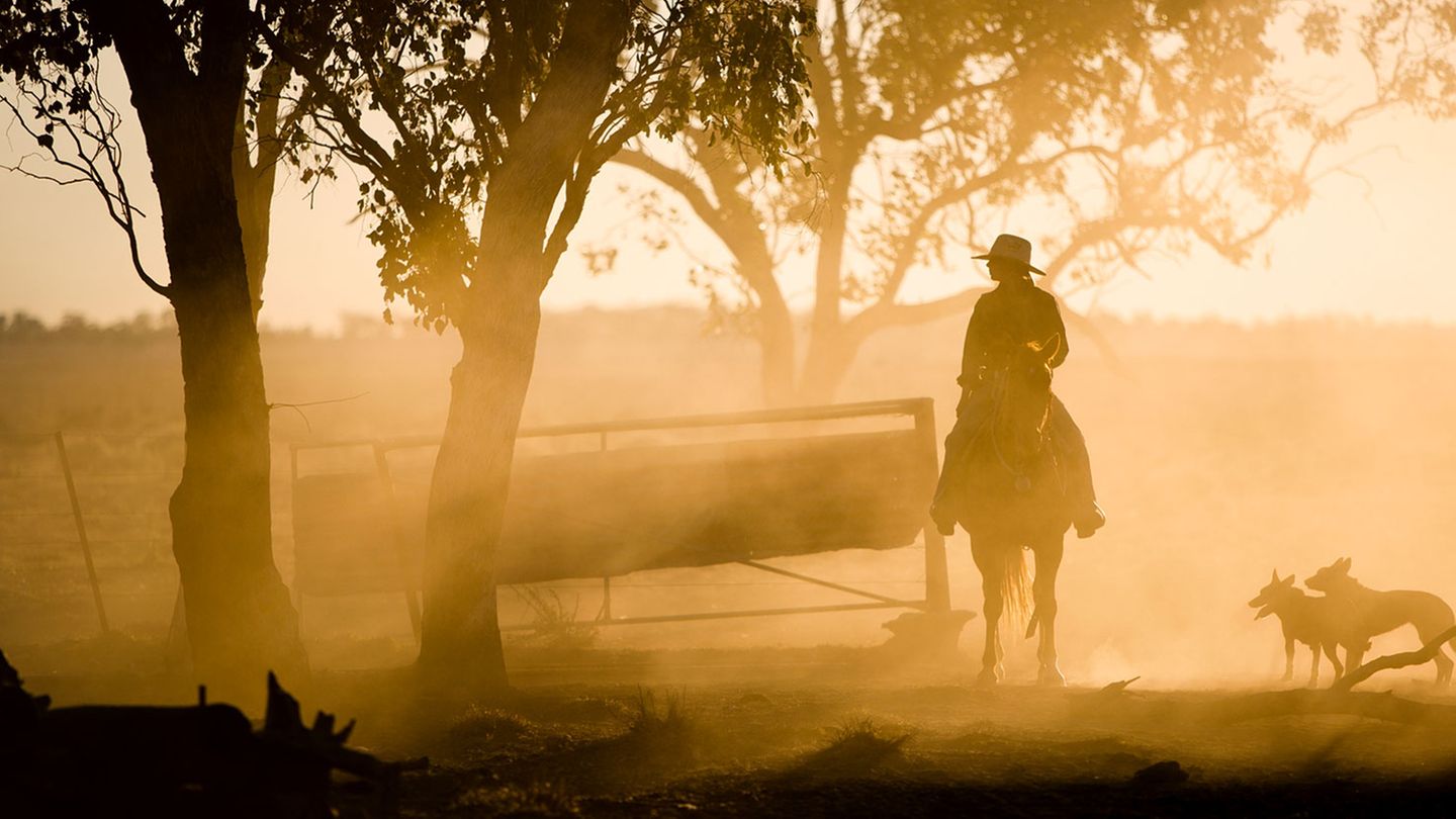 Nur einer von zehn Australier lebt im Outback, bestaunt und manchmal auch bemitleidet vom Rest der Nation. Der Mythos des weiten, freien Landes hat Staub angesetzt: Immer mehr Frauen packen im Outback zu und haben die Zügel fest in der Hand.   Zum Beispiel auf der Farm Victoria Downs. Ein schöner Frauenname für ein raues Stück Land, 13.000 Hektar, eine Fläche groß wie Stadtgebiet von Paris, acht Autostunden westlich von Brisbane im australischen Bundesstaat Queensland.   In der Einöde leben Catherine und Candice Roberts. Die Zwillingsschwestern arbeiten auf der elterlichen Farm als Jillaroos und kümmern sich um Tausende von Schafen und Rindern. Sie gehören zu einer neuen Generation von Frauen, die im Busch zu Hause sind. Stadtflucht und Abenteuerlust treibt sie an, während die Söhne der Farmer immer häufiger abwandern und in Minen arbeiten, wo der Verdienst um ein Mehrfaches höher ist.  Zur Popularität der Jillaroos hat auch das australische TV-Drama "McLeod's Daughters" beigetragen. Die Serie wurde in den letzten Jahren in mehr als 100 Ländern weltweit ausgestrahlt. In den unzähligen Folgen geht es um zwei Schwestern, die nach dem plötzlichen Tod ihres Vaters die verschuldete Rinderfarm vor dem Bankrott retten müssen.  Im Bild schließt Catherine das Gatter im letzten Abendlicht, nachdem sie eine Rinderherde auf eine neue Weide getrieben hat.