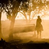 Nur einer von zehn Australier lebt im Outback, bestaunt und manchmal auch bemitleidet vom Rest der Nation. Der Mythos des weiten, freien Landes hat Staub angesetzt: Immer mehr Frauen packen im Outback zu und haben die Zügel fest in der Hand.   Zum Beispiel auf der Farm Victoria Downs. Ein schöner Frauenname für ein raues Stück Land, 13.000 Hektar, eine Fläche groß wie Stadtgebiet von Paris, acht Autostunden westlich von Brisbane im australischen Bundesstaat Queensland.   In der Einöde leben Catherine und Candice Roberts. Die Zwillingsschwestern arbeiten auf der elterlichen Farm als Jillaroos und kümmern sich um Tausende von Schafen und Rindern. Sie gehören zu einer neuen Generation von Frauen, die im Busch zu Hause sind. Stadtflucht und Abenteuerlust treibt sie an, während die Söhne der Farmer immer häufiger abwandern und in Minen arbeiten, wo der Verdienst um ein Mehrfaches höher ist.  Zur Popularität der Jillaroos hat auch das australische TV-Drama "McLeod's Daughters" beigetragen. Die Serie wurde in den letzten Jahren in mehr als 100 Ländern weltweit ausgestrahlt. In den unzähligen Folgen geht es um zwei Schwestern, die nach dem plötzlichen Tod ihres Vaters die verschuldete Rinderfarm vor dem Bankrott retten müssen.  Im Bild schließt Catherine das Gatter im letzten Abendlicht, nachdem sie eine Rinderherde auf eine neue Weide getrieben hat.