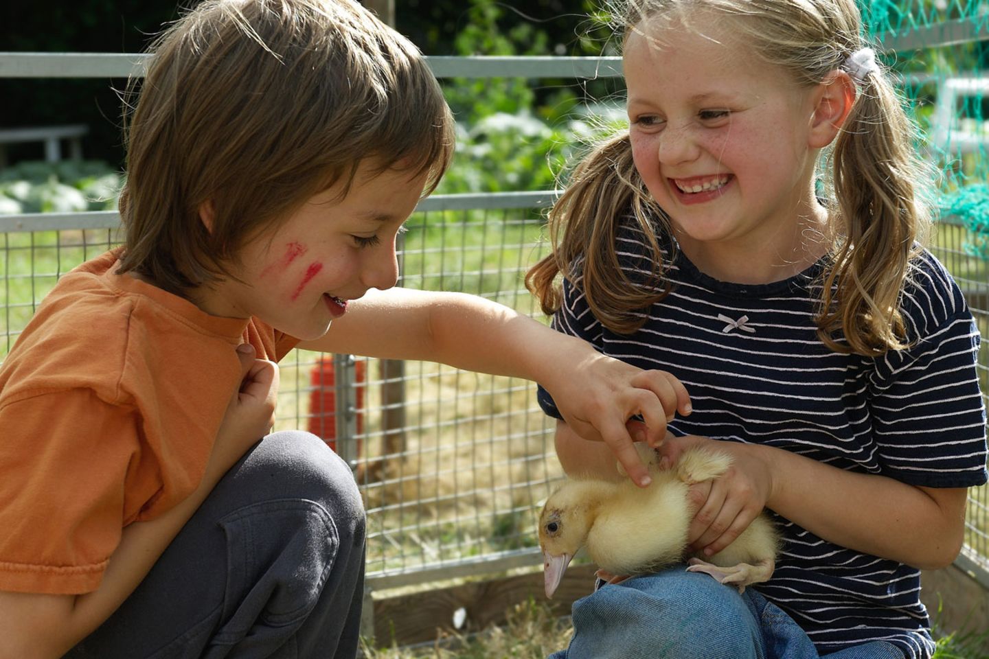 Kinder auf Bauernhöfen sind mehr Keimen ausgesetzt