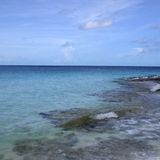 Bild 1 von 10 der Fotostrecke zum Klicken:  1972 erhält die Insel den Namen "Cayo Ernesto Thaelmann". Der Südstrand wird "Playa DDR" getauft