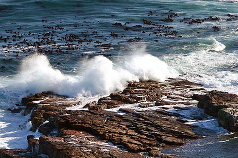 Das Meer speichert Kohlendioxid - doch es kann heute weniger aufnehmen als früher