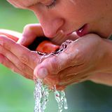 K-H aus Wiesbaden erinnert an einen Spruch, den der Volksmund besagt: "Dummheit frisst, Intelligenz säuft! Ergo ... Wissensdurst", meint er