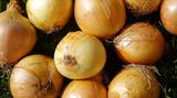 Zwiebeln: 27,7 Prozent teurer als vor einem Jahr