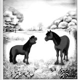 stern-Cartoons: Markus