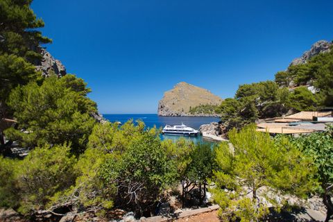 Auch die Urlaubsinsel Mallorca wird von der Schweinegrippe nicht verschont