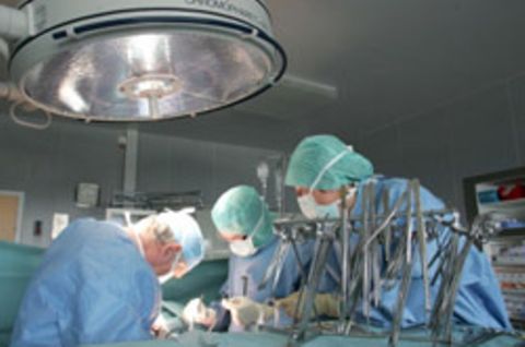 Ärzte bei einer Operation. Laut der Schlichtungsstelle der Norddeutschen Ärztekammern passieren die meisten Kunstfehler bei einer OP