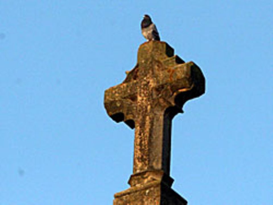 Leben nach dem Tod: Ist der Tod der Aufbruch in ein neues Leben? Ist der Tod der Aufbruch in ein neues Leben?
