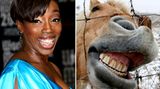 Was tut man nicht alles für ein blendendes Gebiss: Sängerin Estelle, die jetzt eher das Lachen eines Pferdes besitzt, will ihre Zähne bis zur Grammy-Verleihung im Februar richten und ließ sich deshalb im Alter von 28 Jahren eine Zahnspange verpassen
