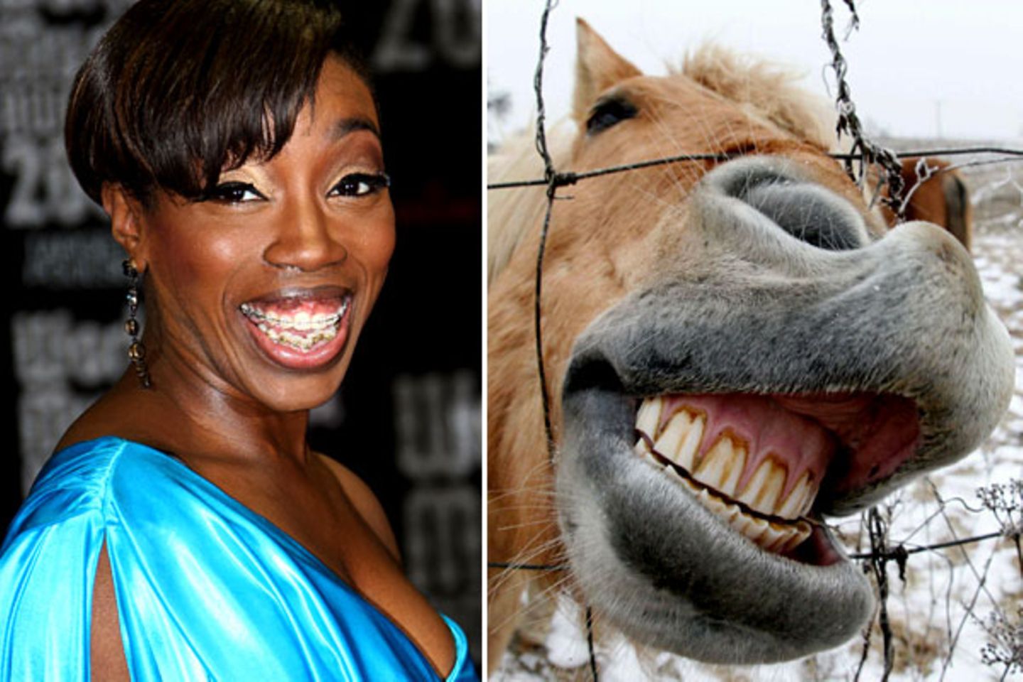 Was tut man nicht alles für ein blendendes Gebiss: Sängerin Estelle, die jetzt eher das Lachen eines Pferdes besitzt, will ihre Zähne bis zur Grammy-Verleihung im Februar richten und ließ sich deshalb im Alter von 28 Jahren eine Zahnspange verpassen