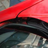 Der Blumentopf in der Motorhaube. Ein Wunder, dass Lack und Bleche der dauerhaften Fangopackung wiederstanden haben.