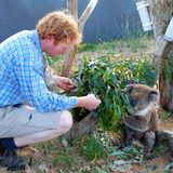 Jeden Morgen gibt es frische Zweige von einer Eukalyptussorte, die der kleine Koala am liebsten mag. Shayne Neal päppelt verletzte Wildtiere in seinem kleinen Eco-Lodge-Zoo auf und wildert sie anschließend wieder aus
