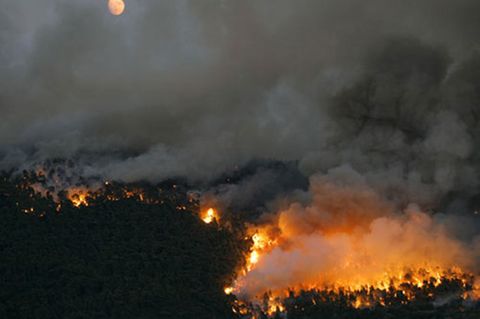 Eine Frau hat ihren Ex-Mann in Brand gesteckt