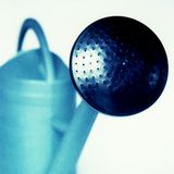 "Dann würde im Rest der Welt das Wasser knapp, schließlich müssten die Schösslinge gut gegossen werden, um zu gedeihen", merkt Beate aus Leverkusen