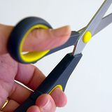 Eine Verschwörung der Fotoindustrie mit den Herstellern von Scheren.   Peter Corticelli