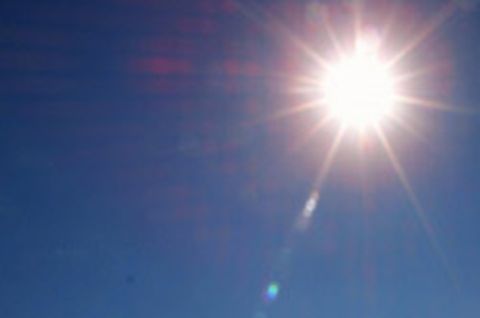 Die Sonne strahlt am tiefblauen Himmel. Sollte die globale Durchschnittstemperatur ansteigen, hätte dies fatale Folgen für die Artenvielfalt